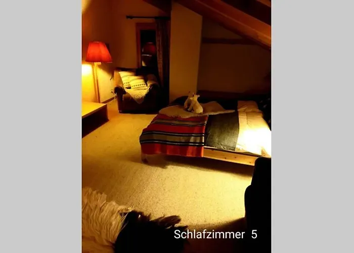 Semesterbostad Banulara Platz Fuer 14 Personen Auf Drei Etagen Bellwald