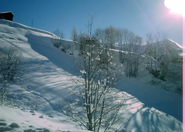 Banulara Platz Fuer 14 Personen Auf Drei Etagen Semesterbostad Bellwald